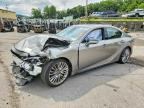 2023 LEXUS IS