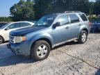 2010 FORD ESCAPE