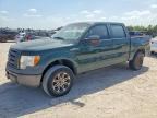 2010 FORD F150