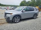 2026 HONDA PILOT