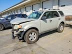 2009 FORD ESCAPE