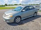 2003 TOYOTA COROLLA