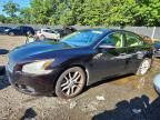 2011 NISSAN MAXIMA