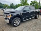 2023 FORD F150