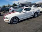 2006 FORD MUSTANG