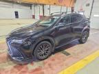 2024 LEXUS NX 250