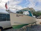 2006 WEBC ZEPHYR