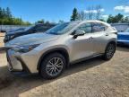 2025 LEXUS NX