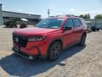 2023 HONDA PILOT
