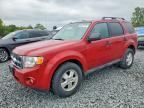 2010 FORD ESCAPE