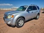 2010 FORD ESCAPE