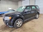 2010 FORD ESCAPE