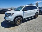 2023 HONDA PASSPORT