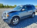 2012 FORD ESCAPE