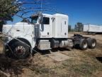 2019 PETERBILT 389