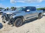2023 TOYOTA TUNDRA