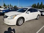 2010 NISSAN ALTIMA