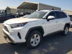 2020 TOYOTA RAV4 HYBRID