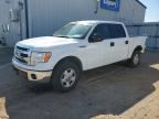 2013 FORD F150