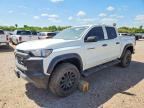 2023 CHEVROLET COLORADO