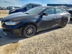 2020 NISSAN MAXIMA
