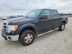 2013 FORD F150