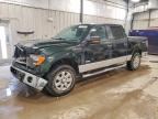 2013 FORD F150