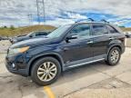2011 KIA SORENTO