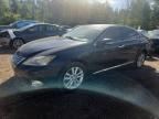 2010 LEXUS ES