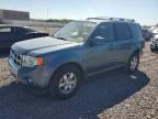 2011 FORD ESCAPE