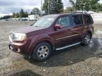 2009 HONDA PILOT