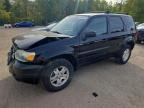 2006 FORD ESCAPE