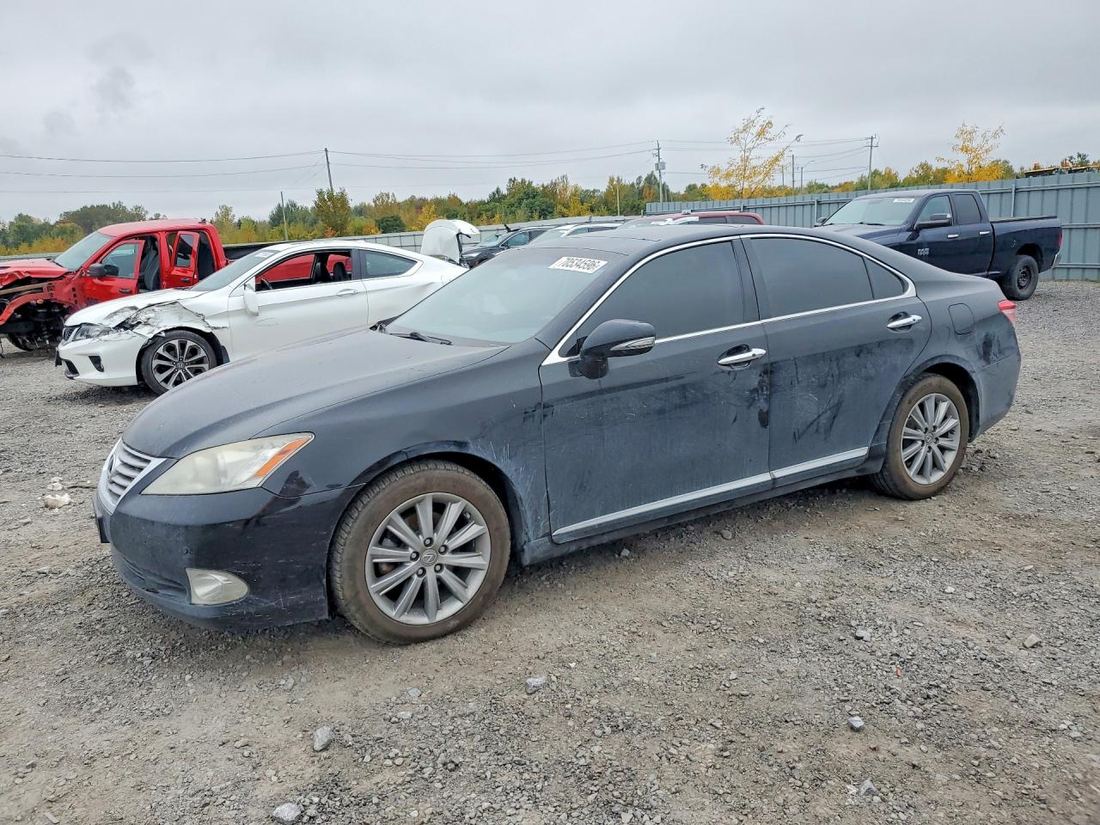 2010 LEXUS ES