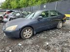 2005 HONDA ACCORD