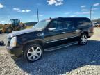 2011 CADILLAC ESCALADE