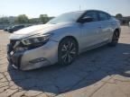 2017 NISSAN MAXIMA