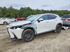 2024 LEXUS NX 350H