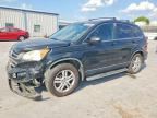 2010 HONDA CR-V