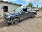 2025 CHEVROLET COLORADO