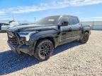 2023 TOYOTA TUNDRA