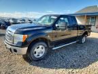 2010 FORD F150