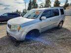 2013 HONDA PILOT