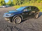 2020 LEXUS NX