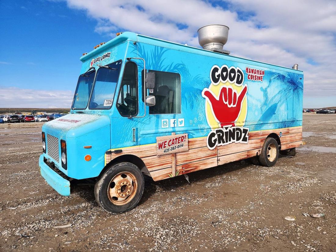 2004 WORKHORSE CUSTOM CHASSIS FORWARD CONTROL CHASSIS