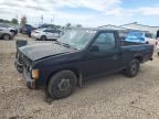 1996 NISSAN TRUCK