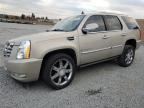 2008 CADILLAC ESCALADE