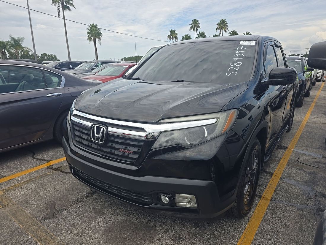 2019 HONDA SPORT
