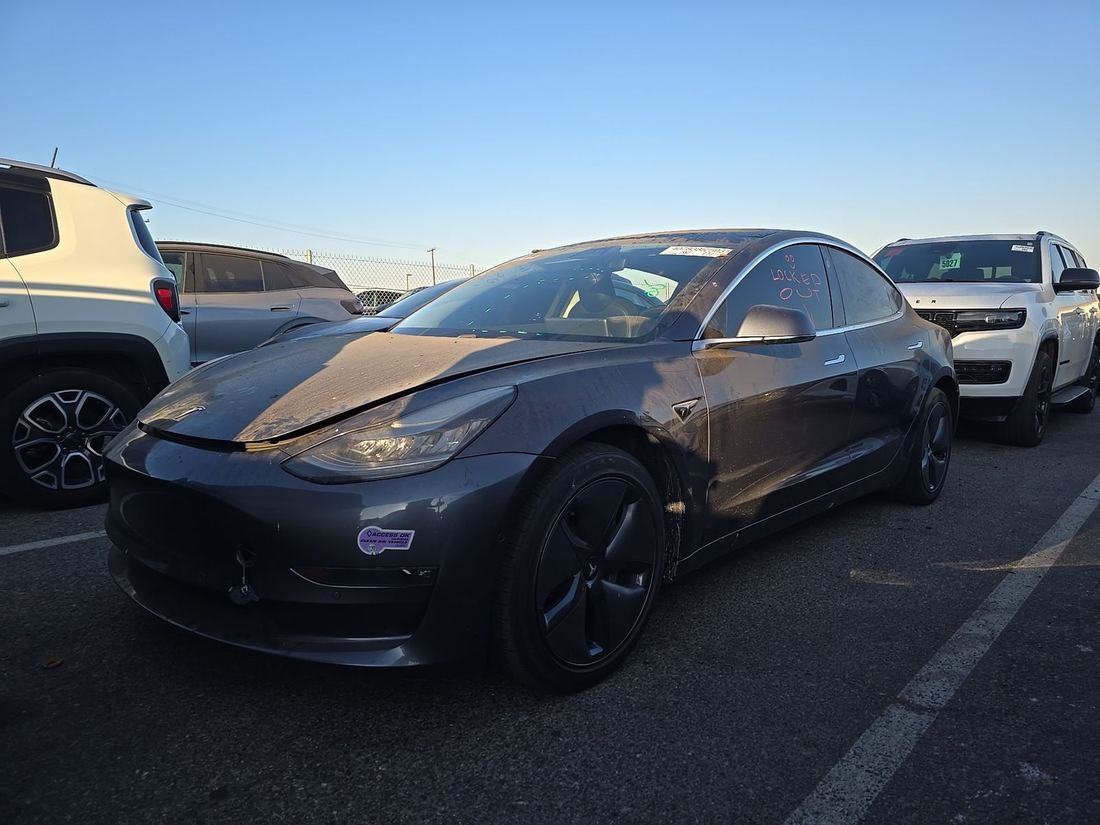2019 TESLA Model 3