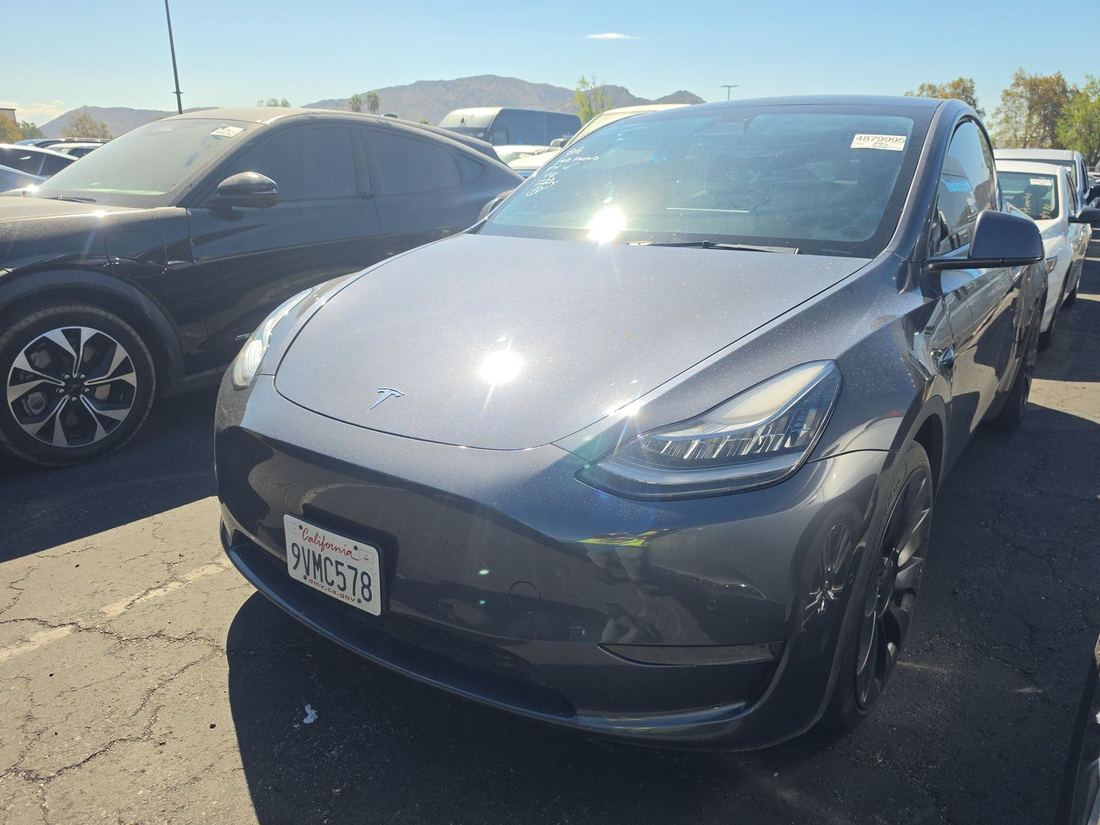 2021 TESLA Model Y