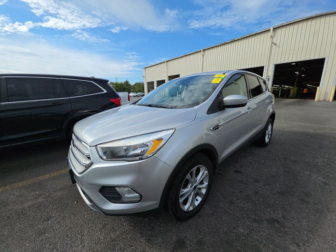 2019 FORD SE